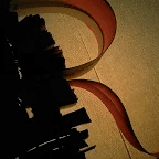 Mariela Monsalve portrait