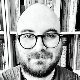 Mirko Velimirović portrait